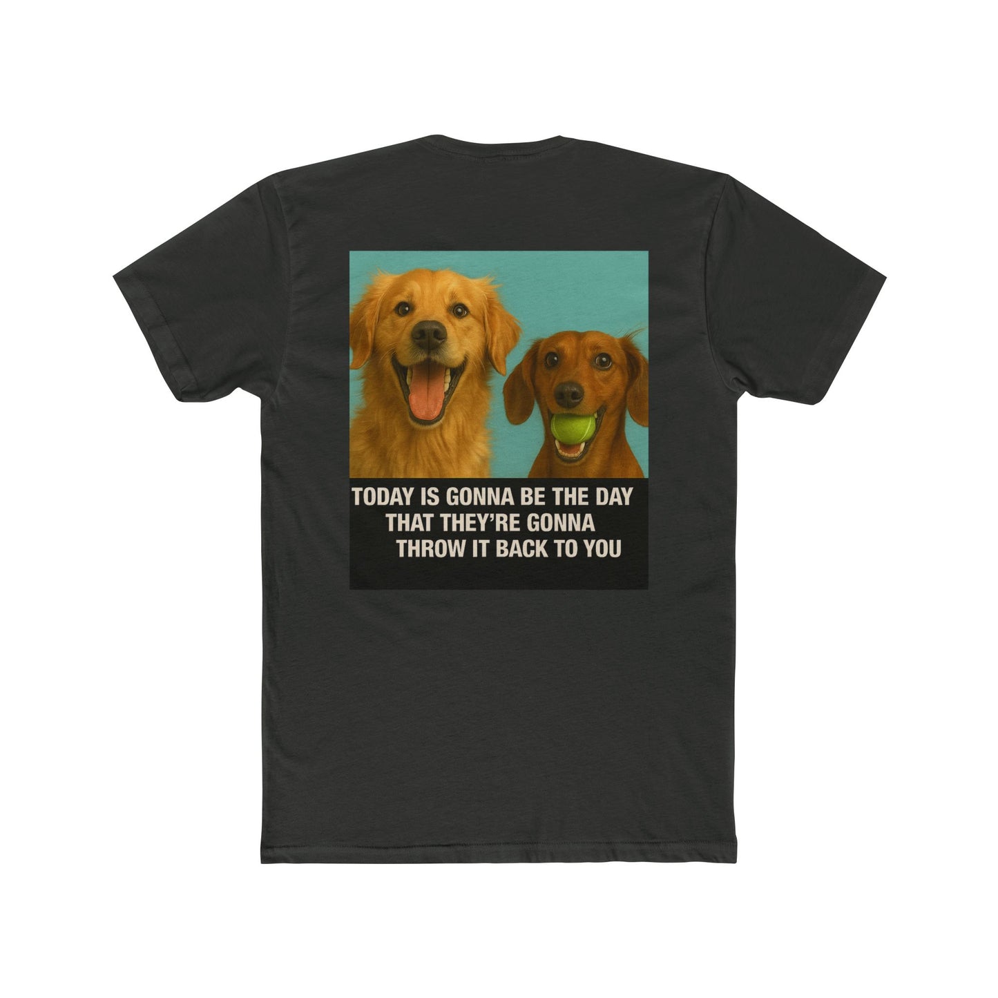 WonderBall Labrador & Dachshund Duo