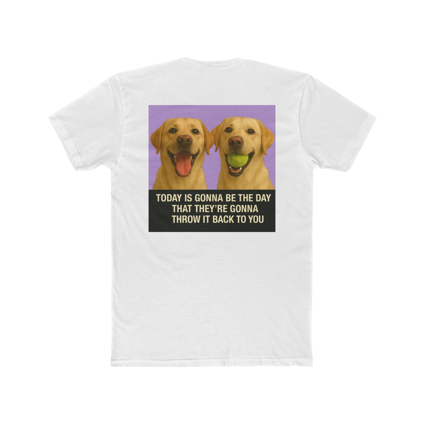 WonderBall Labrador Duo