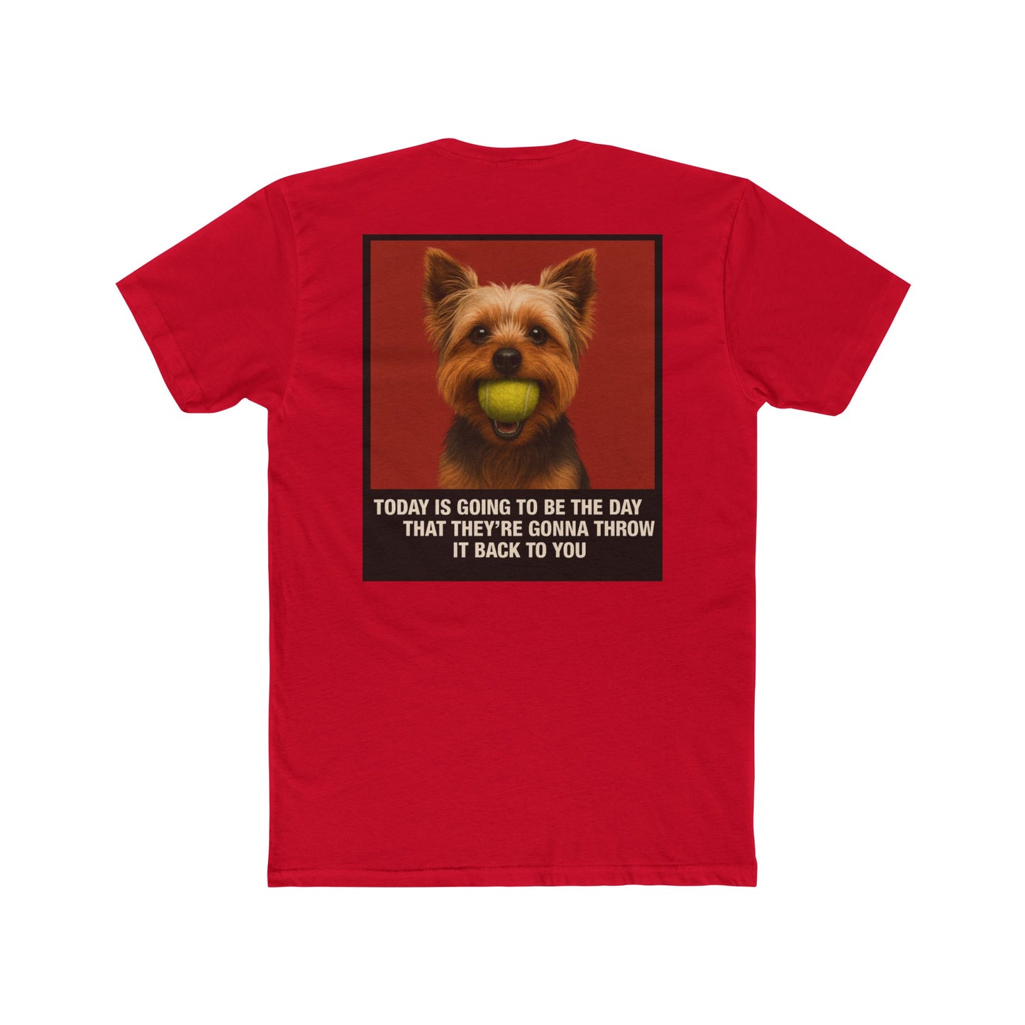 WonderBall Yorkie Custom - Oscar