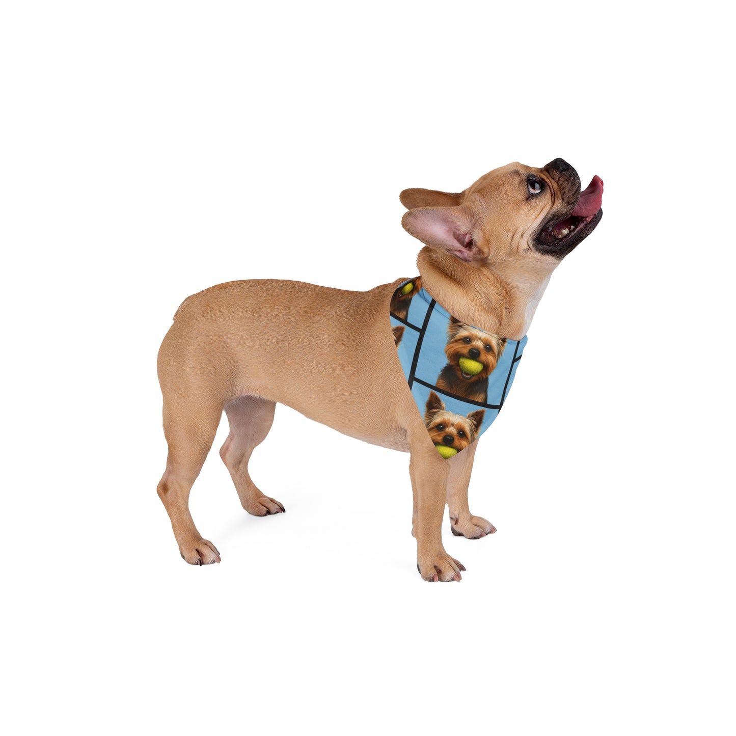 Go Fetch Bandana - Oscar