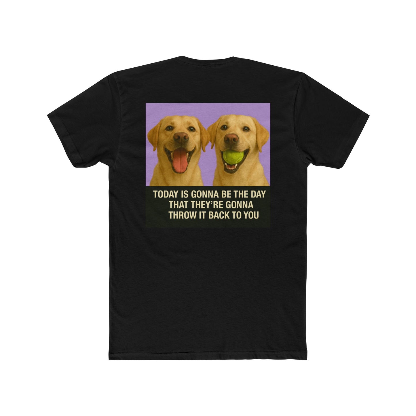 WonderBall Labrador Duo