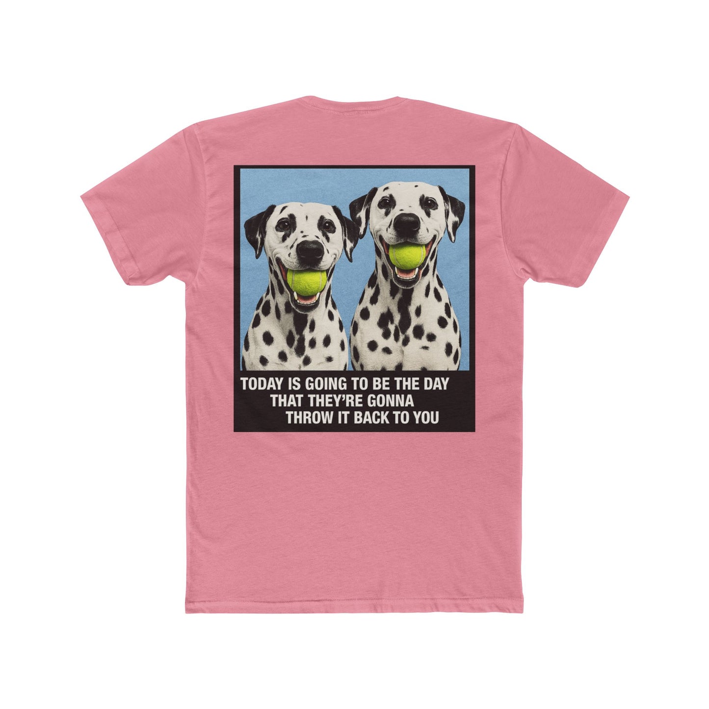 WonderBall Dalmatian Duo